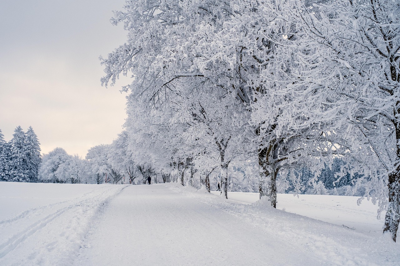 The Dormancy Principle: Resting Without Falling Behind
